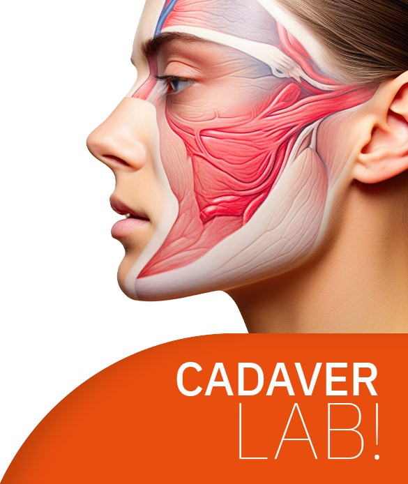 AMWC Cadaver Course
